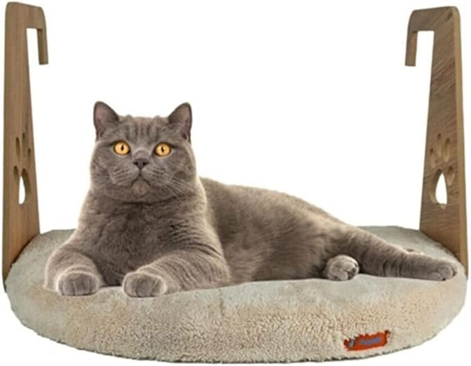 Amazon Kedi Ürünleri